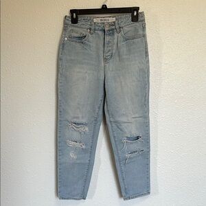 Brandy Melville Light Blue Ankle & Cropped Distressed Jeans Size 26
